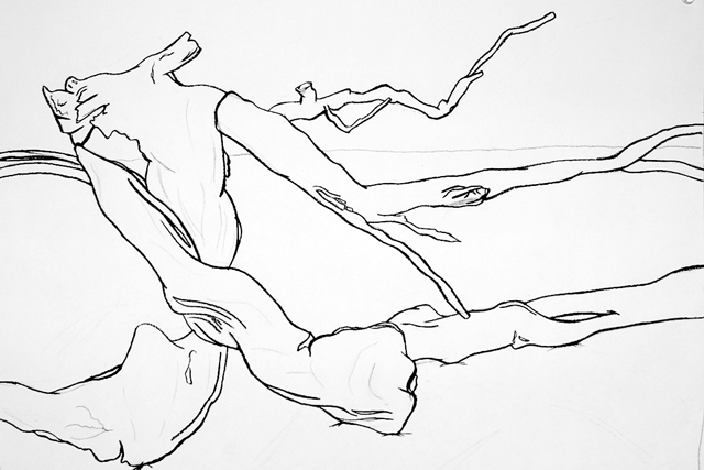 Contour